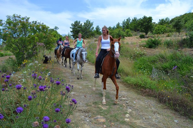 Horse Safari to Ancient Syedra - Activity Suitability
