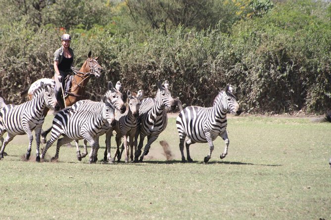 Horse Safaris in Tanzania - Small Group Experiences