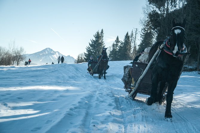 Horse Sleigh Ride in the Countyside and Thermal Pools in One Day, Private Tour - Accessibility and Attire