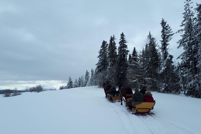 Horse Sleigh Ride in the Countyside and Thermal Pools in One Day, Private Tour - Confirmation and Cancellation