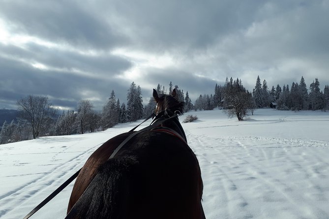 Horse Sleigh Ride in the Countyside and Thermal Pools in One Day, Private Tour - Tour Operator