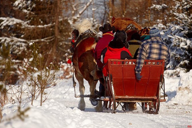 Horse Sleigh Ride in the Polish Countryside, Private Tour From Krakow - Inclusions and Exclusions