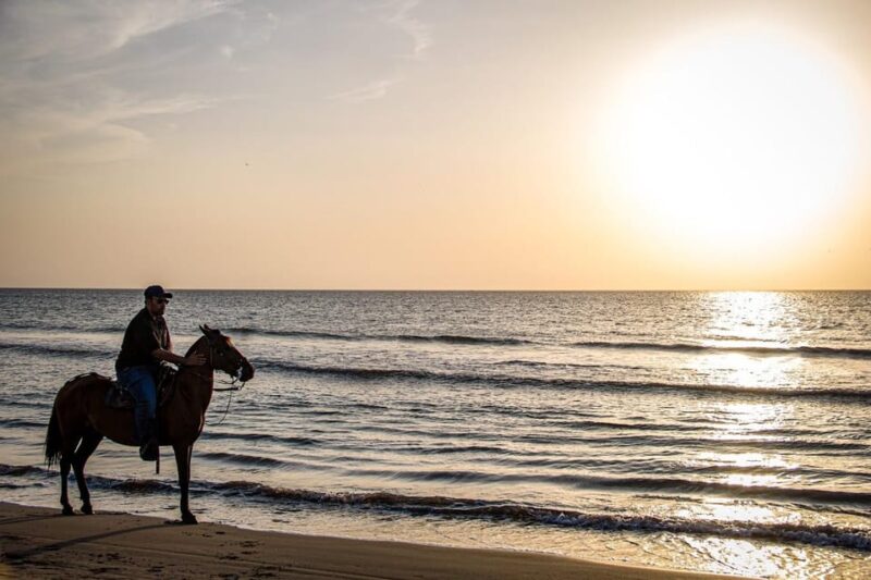 HORSE TOUR IN CARTAGENA BEACH - Transportation and Accessibility