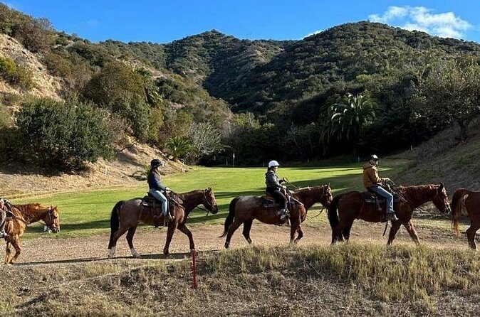 Horse Trail and Canyon Group Ride on Catalina Island - Who Will Love this Experience?