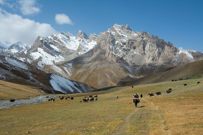 Horse Trek to Kel Suu Lake - Traveler Feedback and Authentic Insights