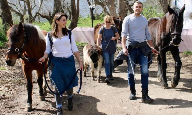 Horse Walking and Olive Oil Tasting - Clothing and Food Restrictions