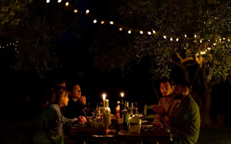 Horse Walking and Olive Oil Tasting - Included Features
