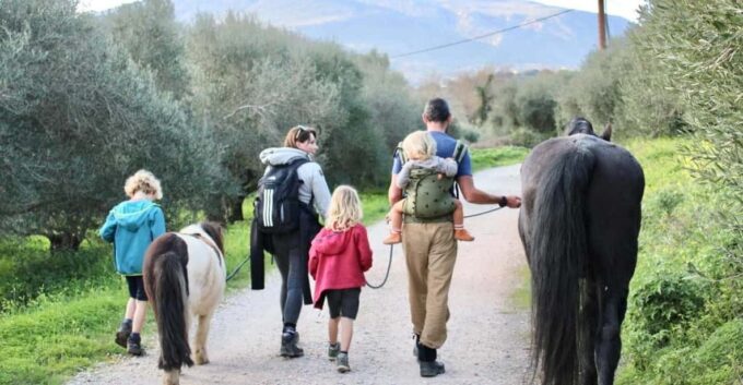 Horse Walking and Olive Oil Tasting - Booking and Availability