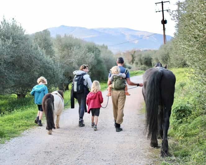 Horse Walking and Olive Oil Tasting - Frequently Asked Questions