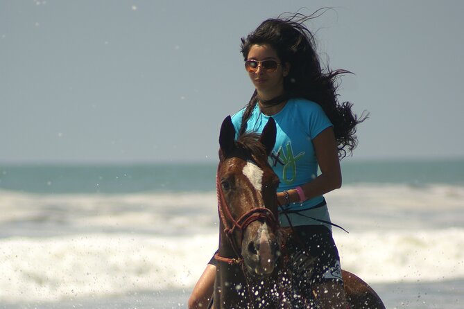 Horseback Adventure Tour - Meeting and Pickup Information
