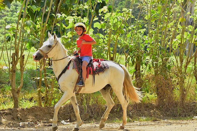 Horseback and Waterfalls Adventure in Jaco With Pick up - Pickup and Accessibility