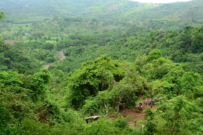 Horseback and Waterfalls Adventure in Jaco With Pick up - Reviews and Feedback