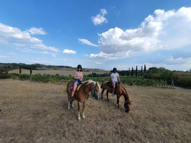 Horseback And Wine Tasting In Tuscan Countryside - Wine Tasting Details
