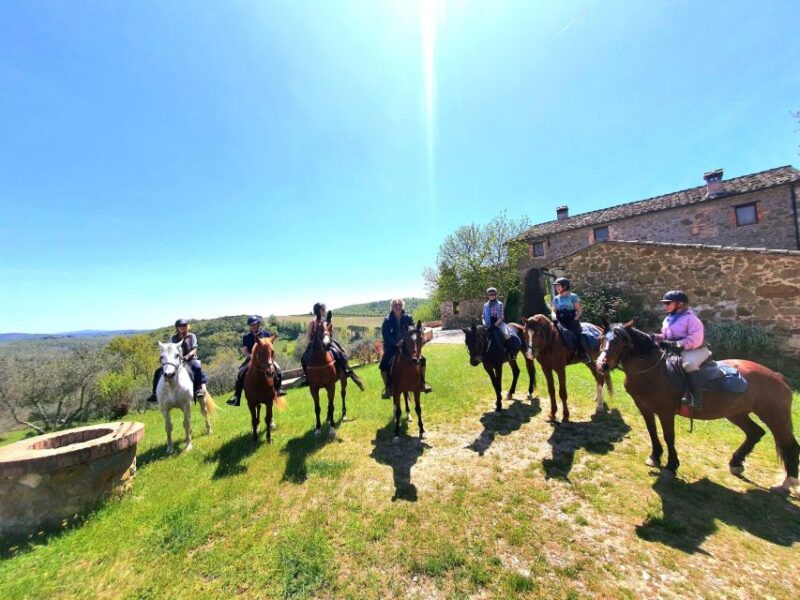 Horseback And Wine Tasting In Tuscan Countryside - Participant Requirements