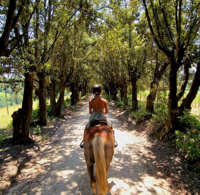 Horseback And Wine Tasting In Tuscan Countryside - Main Activities