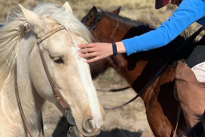 Horseback Expedition to the Andes, 2 Days. Sleep in the Heart of the Mountain. - Pickup Information