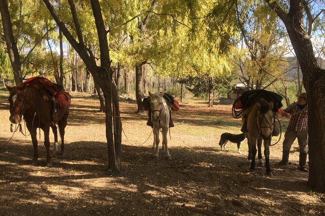 Horseback Expedition to the Andes, 2 Days. Sleep in the Heart of the Mountain. - Exploring the Andes Mountains