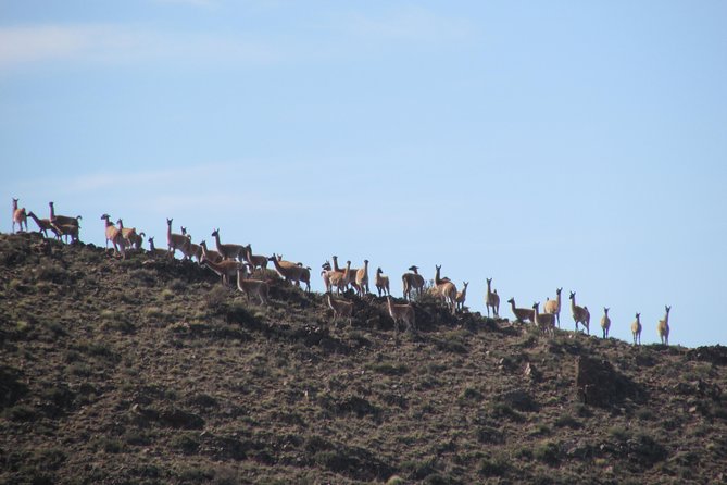 Horseback Expedition to the Andes, 3 Days - Inclusions and Pricing