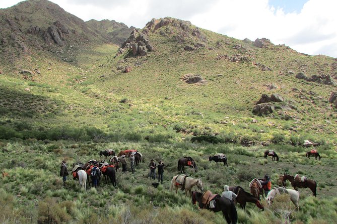 Horseback Expedition to the Andes, 3 Days - Health and Safety Information