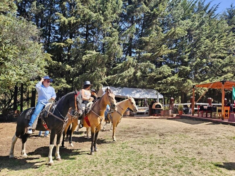 Horseback in the Mountains & Food in Our Ranch - Key Points