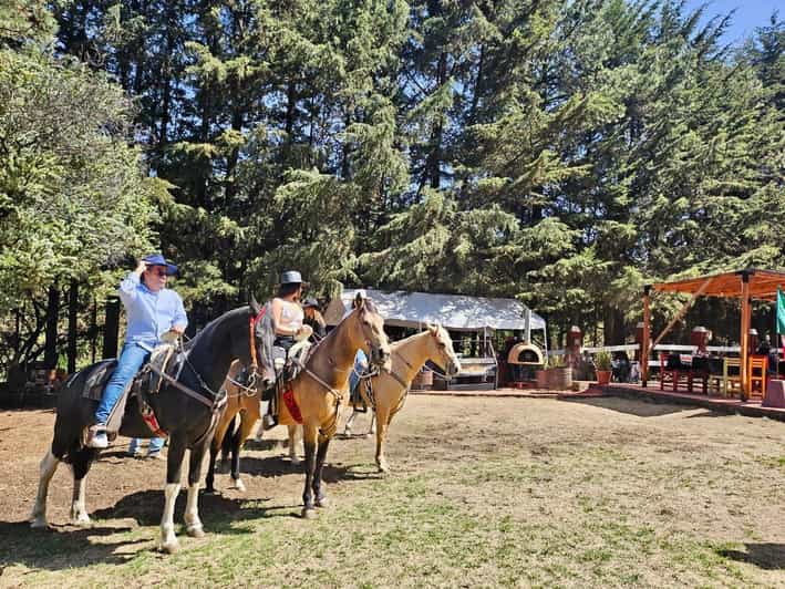 Horseback in the Mountains & Food in Our Ranch - Equine World Introduction