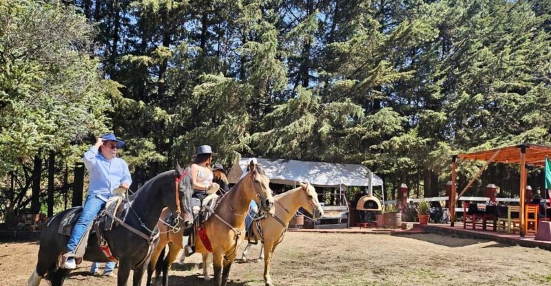Horseback in the Mountains & Food in Our Ranch - Horseback Riding Experience