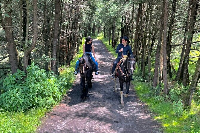 Horseback in the Mountains & Food in Our Ranch - Horseback Riding Experience