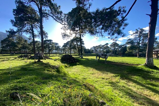 Horseback in the Mountains & Food in Our Ranch - Barbecue Meal Details