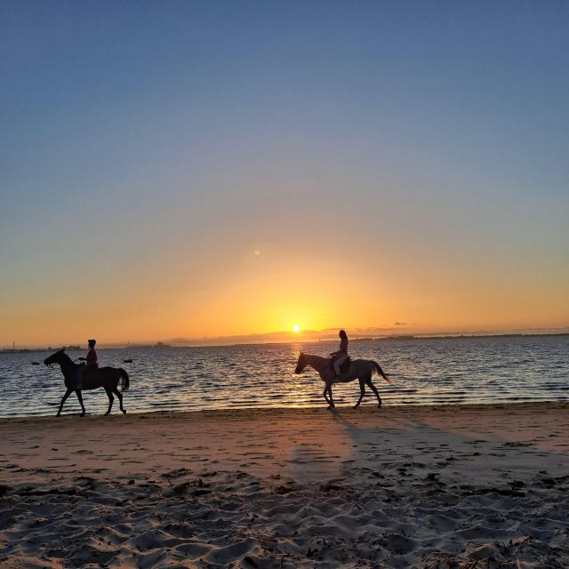 Horseback Marriage Proposal on the Beach - Whats Included