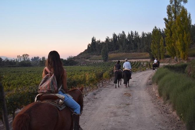 Horseback Private Wine Tour and Country Grill From Santiago - Itinerary Details