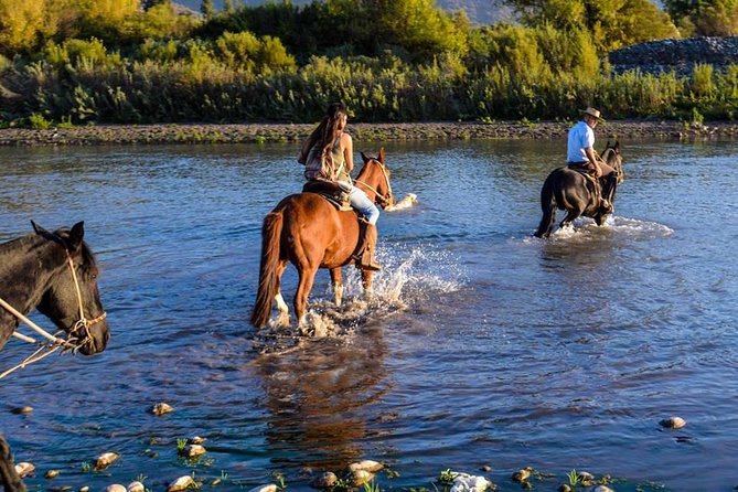 Horseback Private Wine Tour and Country Grill From Santiago - Included in the Tour