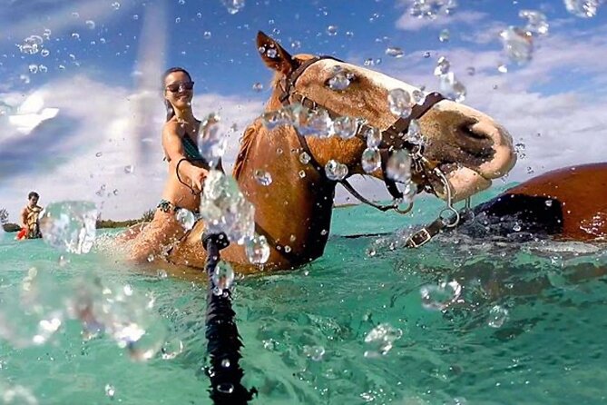 Horseback Ride Adventure Activity Inclusive With Transportation From Montego Bay - About Your Stay