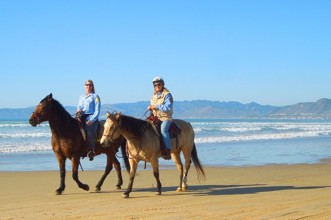 Horseback Ride & Alcatraz Prison Tickets - Itinerary and Activities