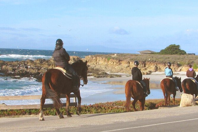 Horseback Ride & Alcatraz Prison Tickets - Getting to the Pickup Location