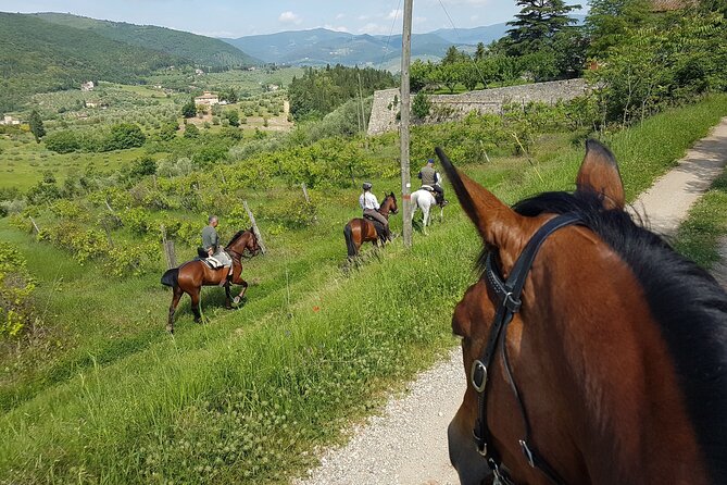 Horseback Ride and Gourmet Cuisine in a Historic Food Shop - Horseback Riding Experience