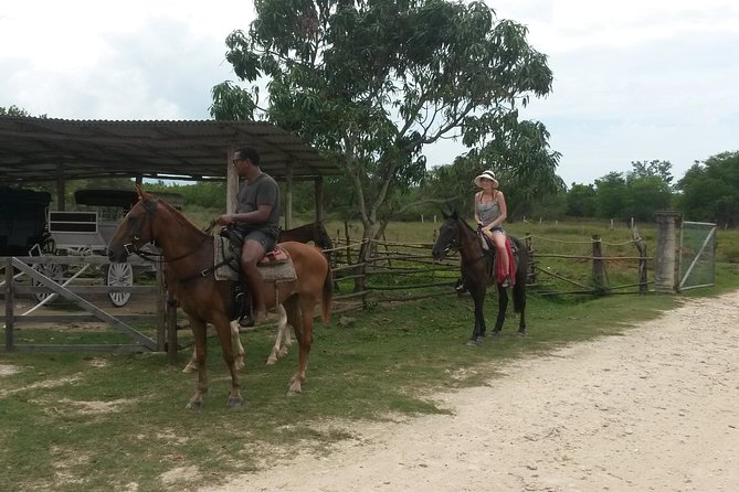 Horseback Ride and Mayfield Falls Combo From Negril - About Your Stay
