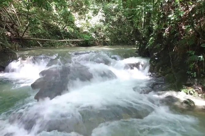 Horseback Ride and Mayfield Falls Combo From Negril - Transportation and Accessibility