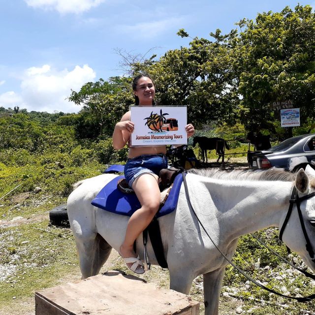 Horseback Ride and Ricks Café With Private Transportation - Key Points