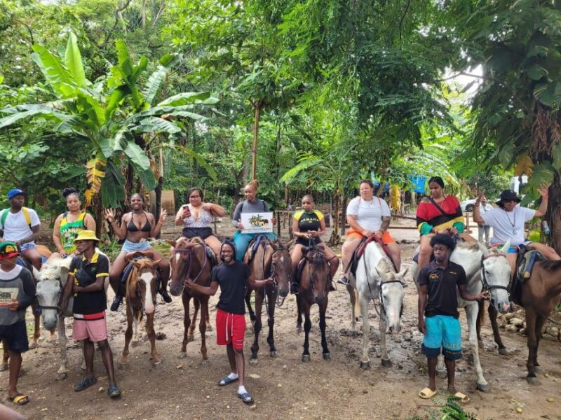 Horseback Ride and Ricks Café With Private Transportation - Swimming in the Caribbean