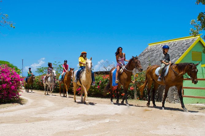 Horseback Ride and Swim Excursion From Kingston - Natural Habitats and Wildlife