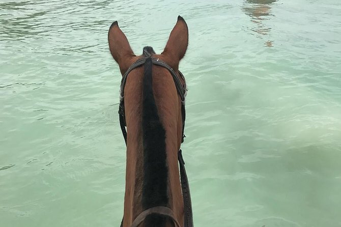 Horseback Ride and Swim From Ocho Rios - Tour Overview