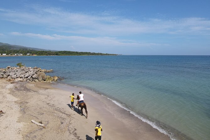 Horseback Ride and Swim in Ocho Rios With Transportation - Transportation Details
