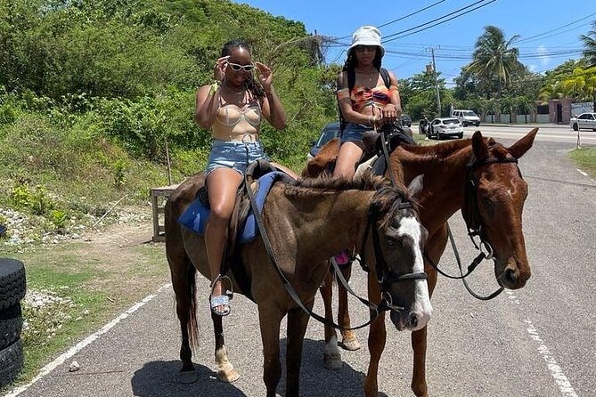 Horseback Ride and Swim in Ocho Rios With Transportation - Tour Highlights