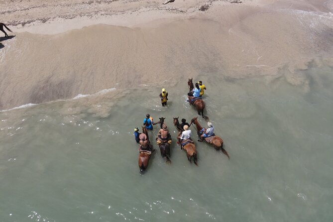 Horseback Ride and Swim in Ocho Rios With Transportation - Questions About Your Stay