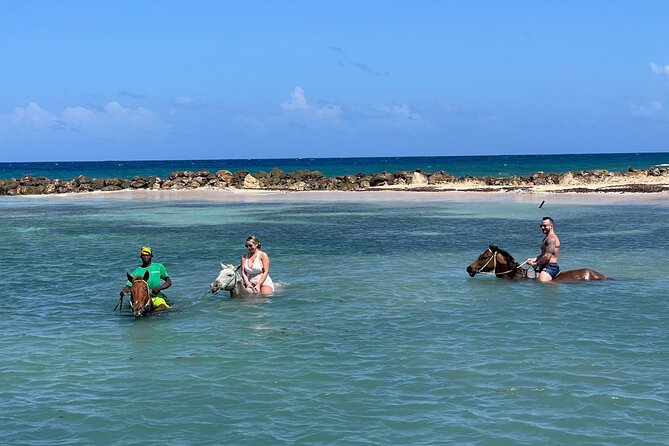 Horseback Ride and Swim Tour In Montego Bay - Tour Conditions