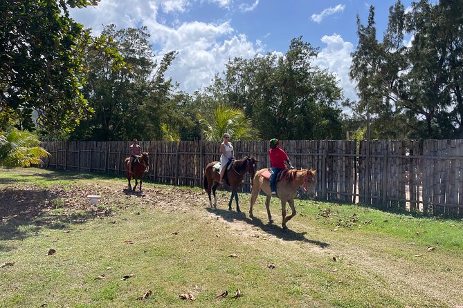 Horseback Ride and Swim Tour In Montego Bay - Customer Feedback