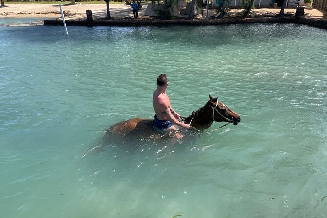 Horseback Ride and Swim Tour In Montego Bay - Refund and Cancellation