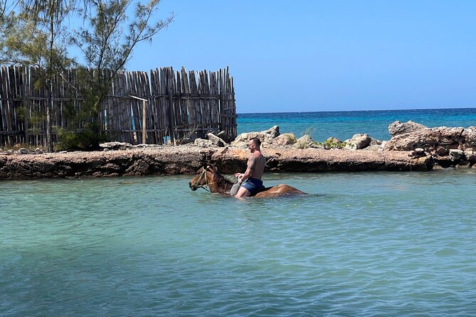 Horseback Ride and Swim Tour In Montego Bay - Group Participation