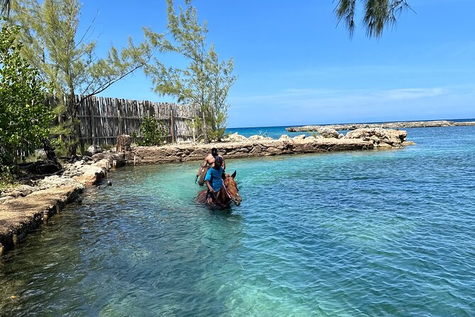 Horseback Ride and Swim Tour In Montego Bay - Accessibility Considerations
