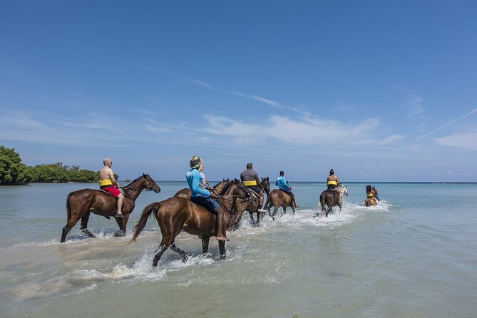 Horseback Ride and Swim With Blue Hole Ocho Rios or River Tubing - Transportation and Pickup Details